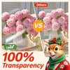 Uinkit Laser Transparency Film Transparent Paper for Overhead Projector and Laser Jet Printer Copier,